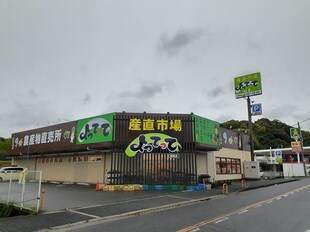 和泉鳥取駅 徒歩17分 1階の物件内観写真